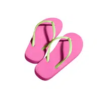 Flip-Flops | Types of Shoes Names for Women in English