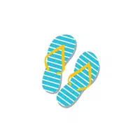Flip-Flops
