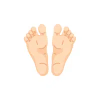 Foot