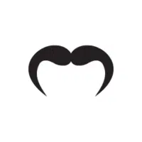 Fuller Horseshoe | Mustache Styles Names in English