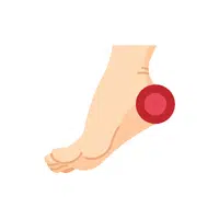 Heel | Woman Body Parts Names in English