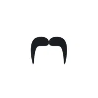 Horseshoe | Mustache Styles Names in English
