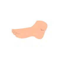Instep