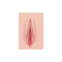 Labia | Woman Body Parts Names in English