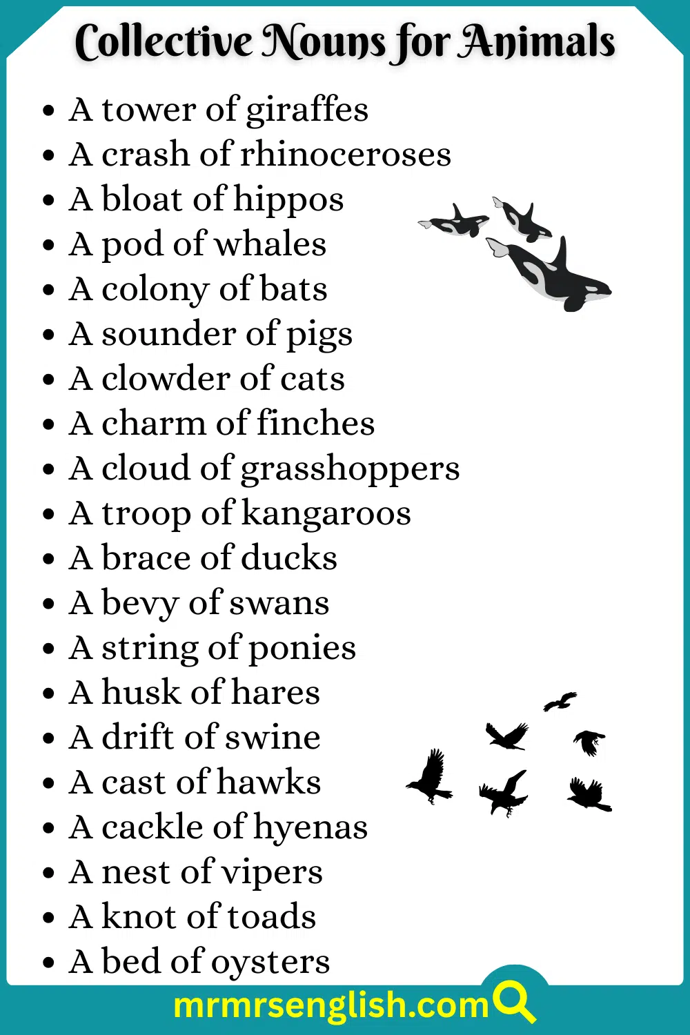 List of Collective Nouns for Animals with Pictures