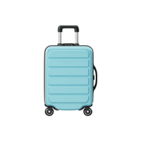 Luggage bag