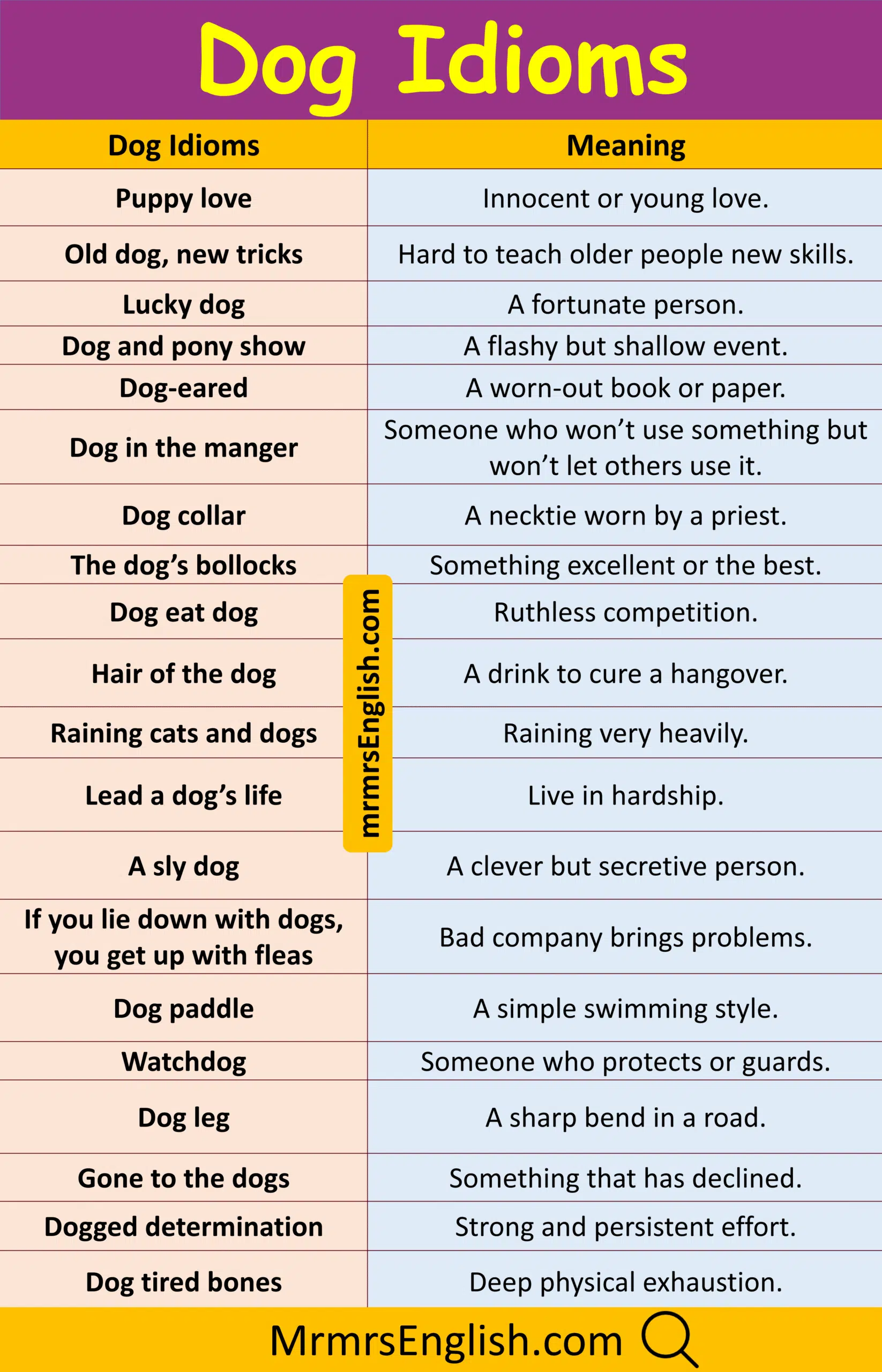 Master Dog idioms in English with their meanings