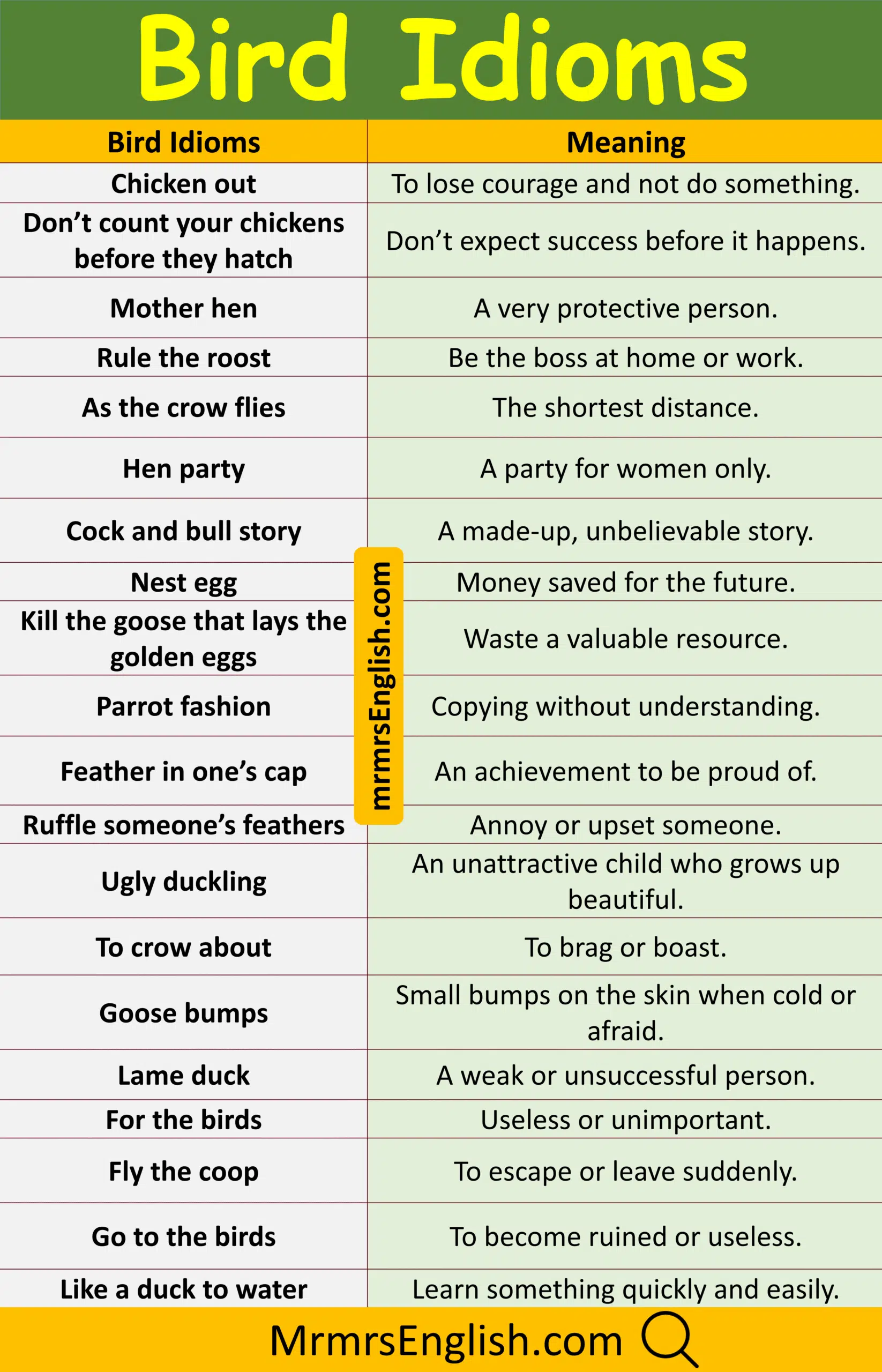 Master bird idiom with their meaning and Pictures