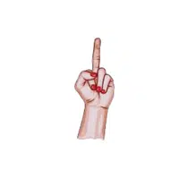 Middle Finger