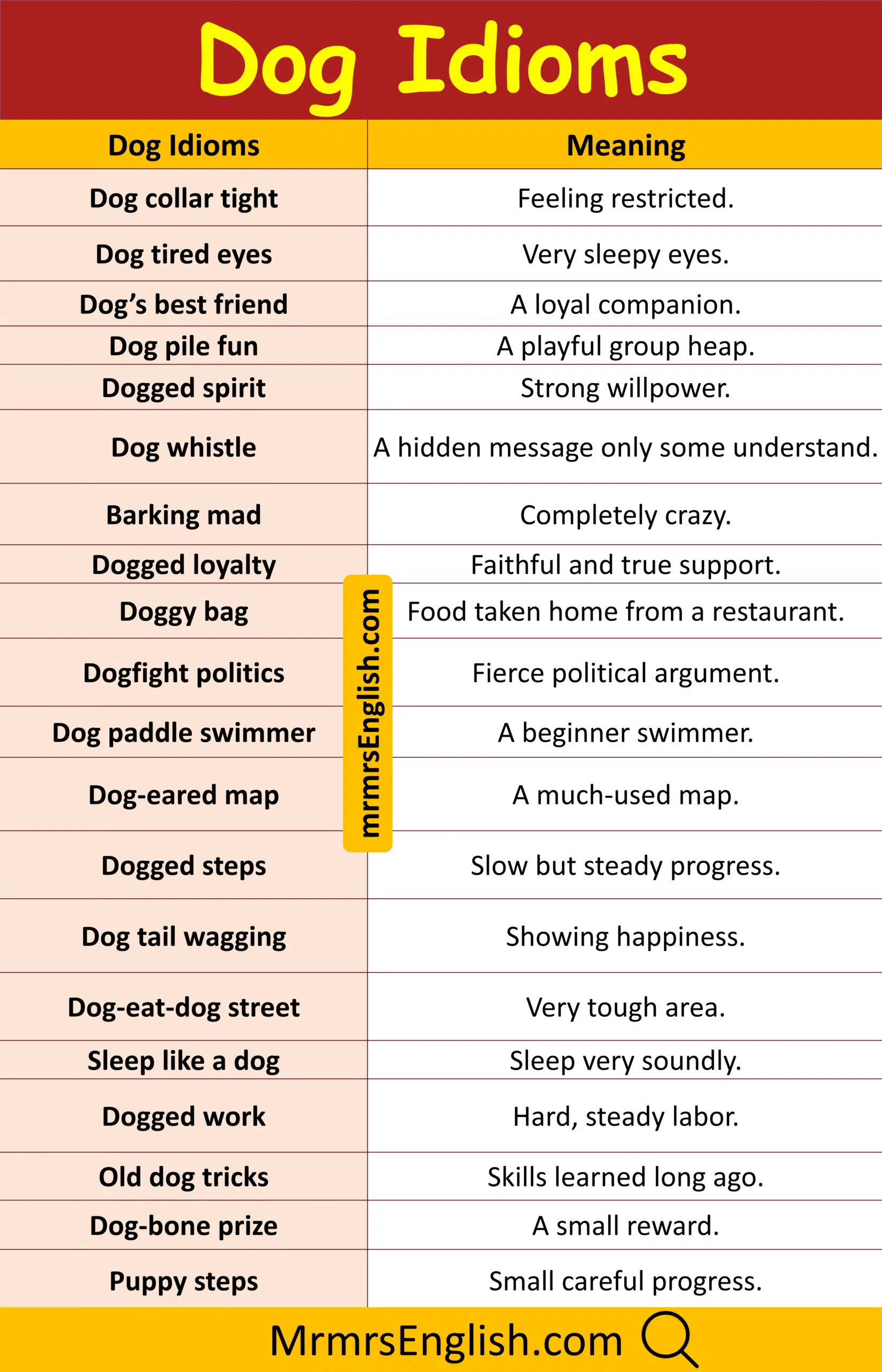 Most Common Idiom Meanings with Pictures