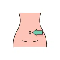 Navel