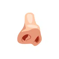 Nostril