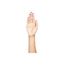Palm | Woman Body Parts Names in English