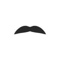 Petite Chevron | Mustache Styles Names in English