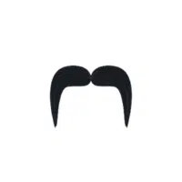  Petite Horseshoe | Mustache Styles Names in English