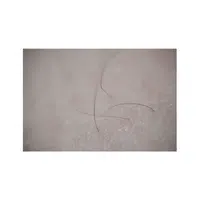Pubic hair