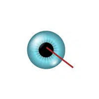 Pupil