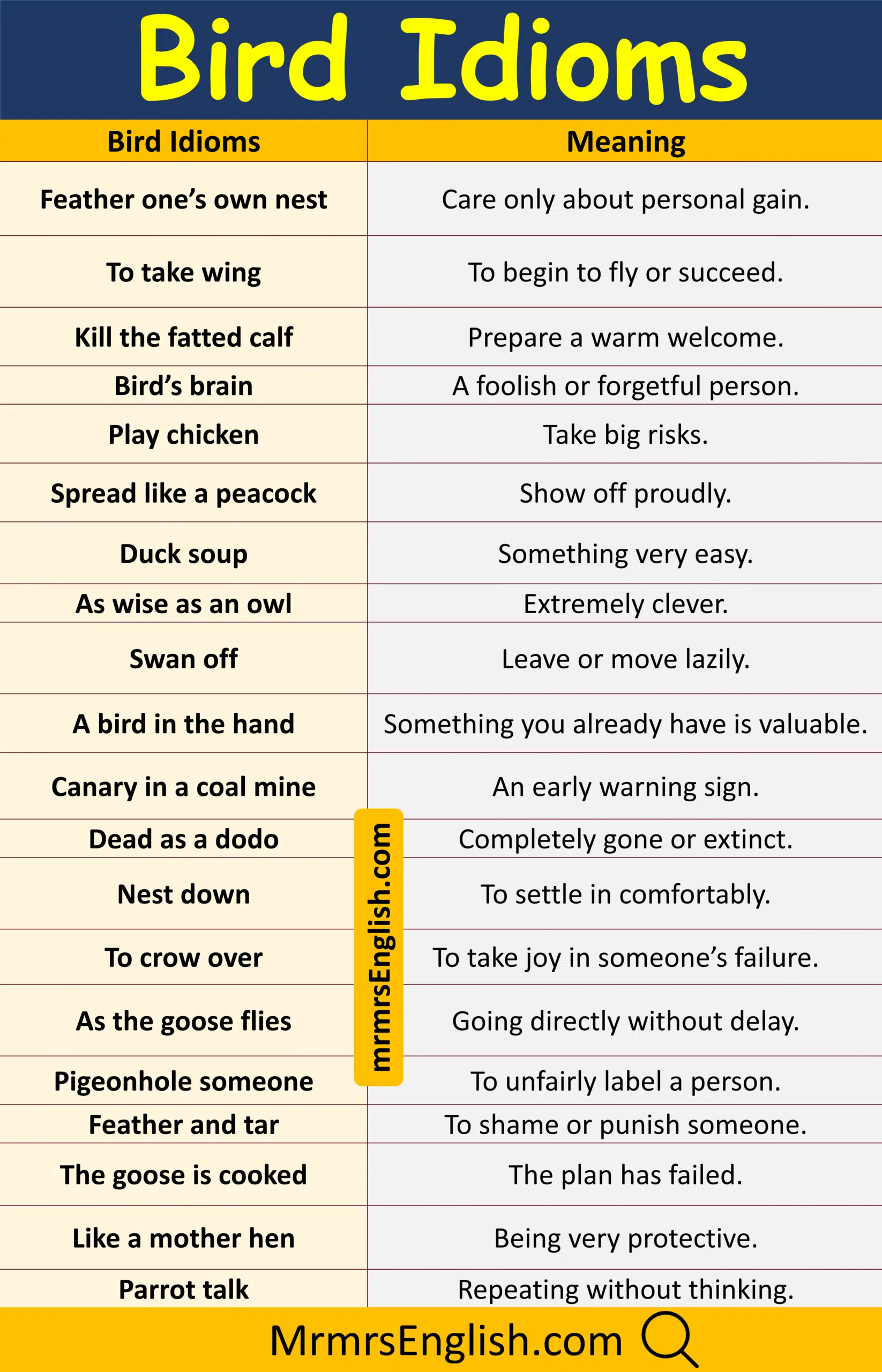 Simple bird idioms in English with their meanings