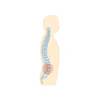 Spine | Woman Body Parts Names in English