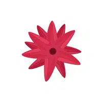 Starflower | Summer Flowers Names in English