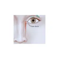 Tear duct