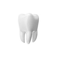 Tooth | Woman Body Parts Names in English