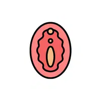 Vulva