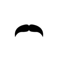 Walrus | Mustache Styles Names in English