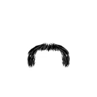 Wide Horseshoe | Mustache Styles Names in English