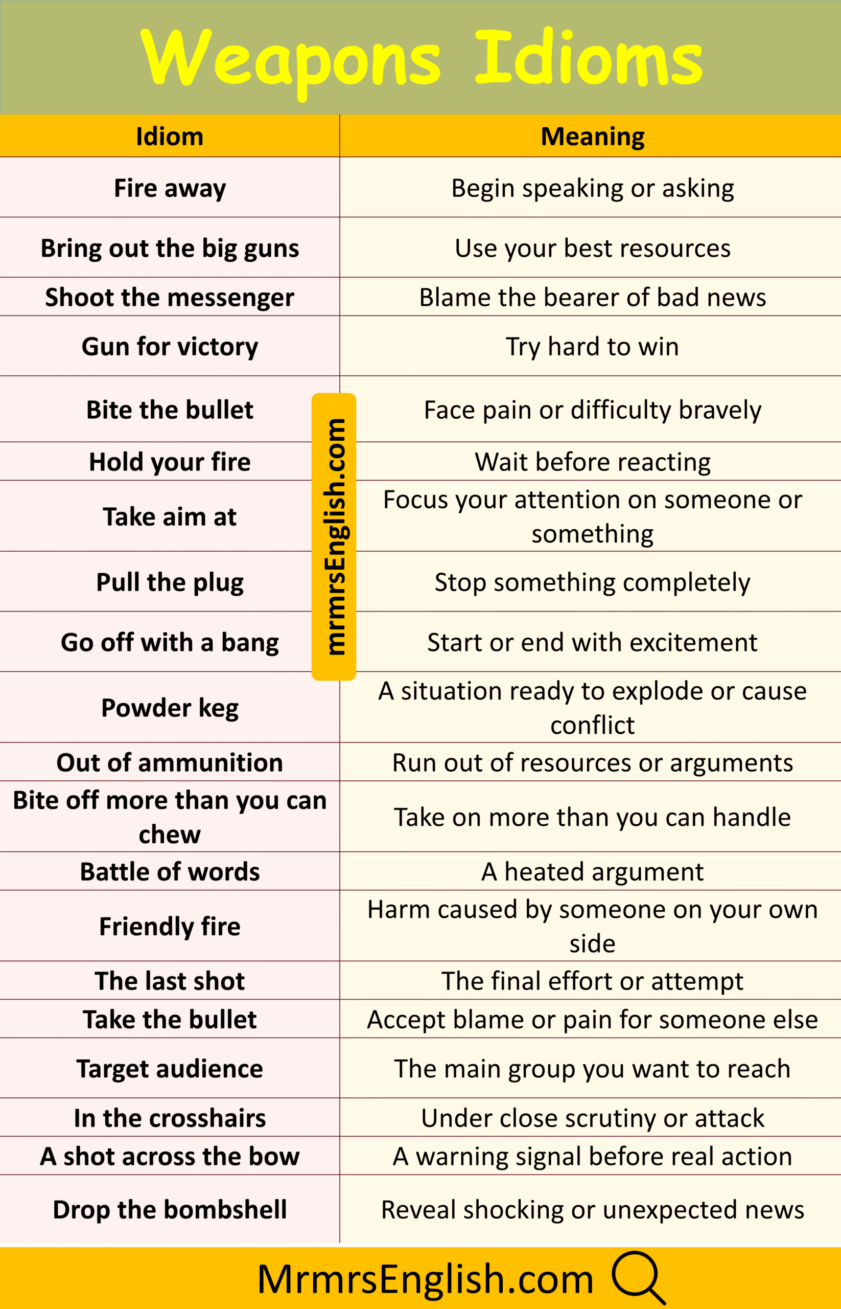 100 Idiom with their Pictures