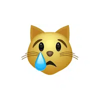 Crying Cat | Android Emojis Names with Meanings In English