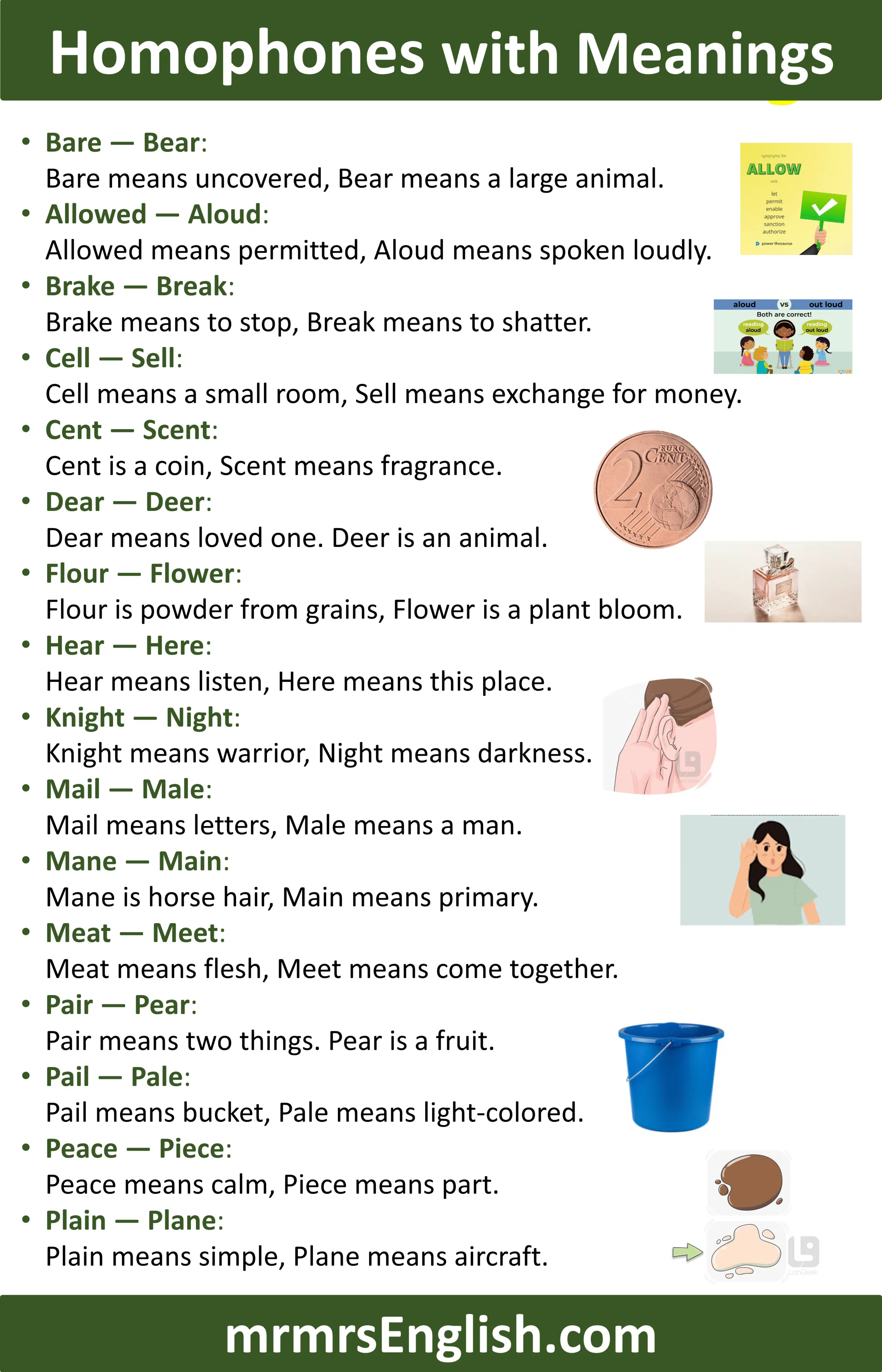 Learn Homophones with Their Meanings in English