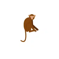 Monkey | Android Emojis Names with Meanings In English