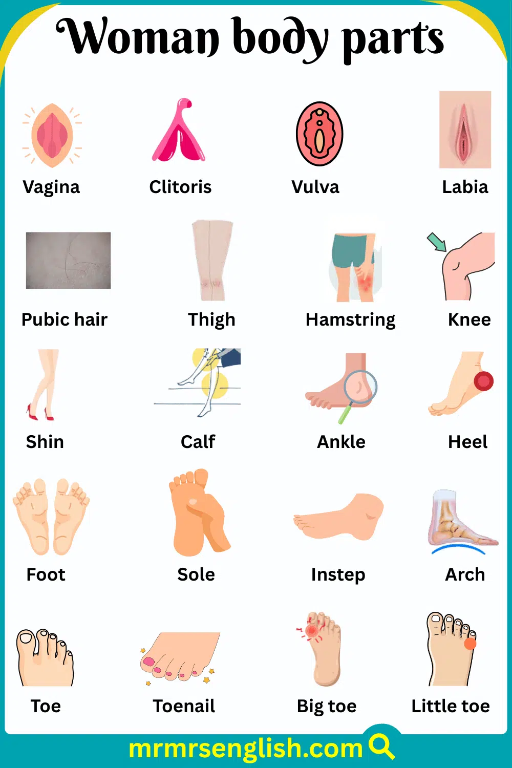Pictures of Woman Body Parts and Names