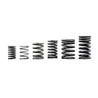 Valve Spring