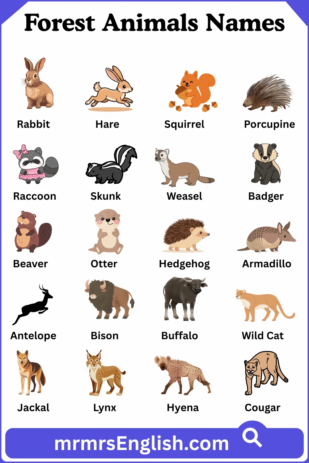 Forest Animals List Forest Animals List