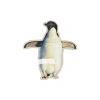 Adelie | Types of Penguins Names in English