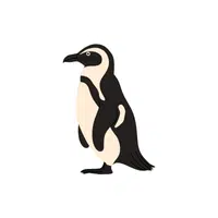 African | Types of Penguins Names in English
