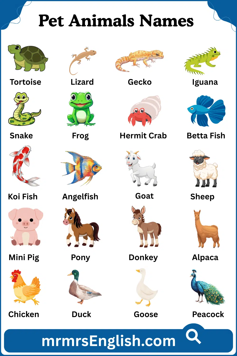 Animal Name in English with their Pictures