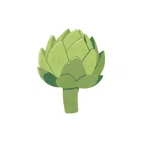 Artichoke | Low Sugar Vegetables Names in English