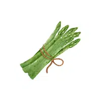 Asparagus | Low Sugar Vegetables Names in English