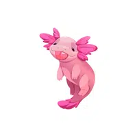 Axolotl | Pet Animals Names in English