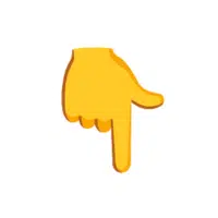 Backhand Index Pointing Down