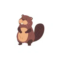 Beaver | Forest Animals Names in English