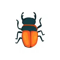 Beetle 
