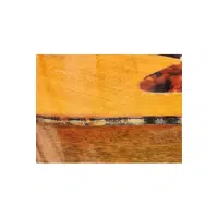 Binding | Guitar​ Parts Names in English