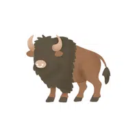 Bison | Forest Animals Names in English