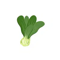 Bok Choy | Low Sugar Vegetables Names in English