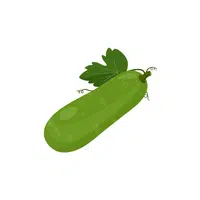 Bottle Gourd