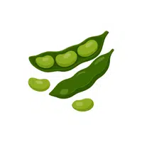 Broad Beans | Low Sugar Vegetables Names in English